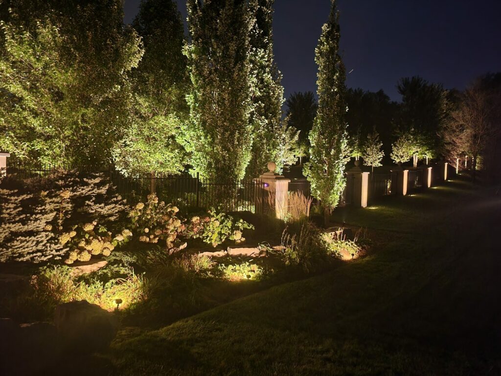 outdoor landscape lighting that is illuminating a garden
