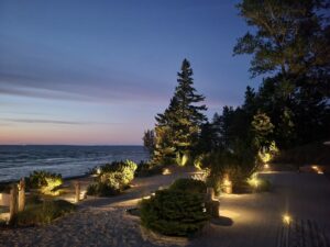 outdoor area lit up at night