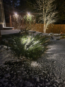 outdoor landscape lighting in Ontario
